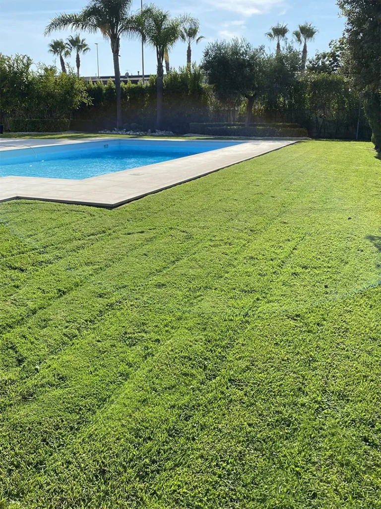 Manutenzione giardini privati e condominiali a Roma