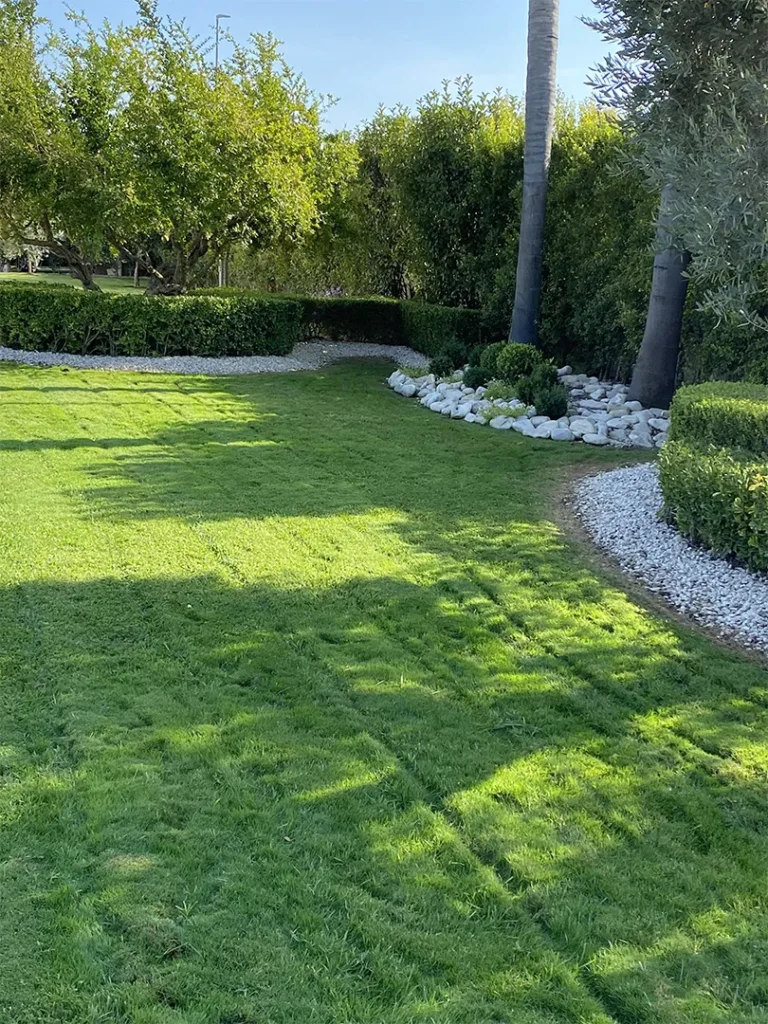 Progettazione e realizzazione giardini a Roma