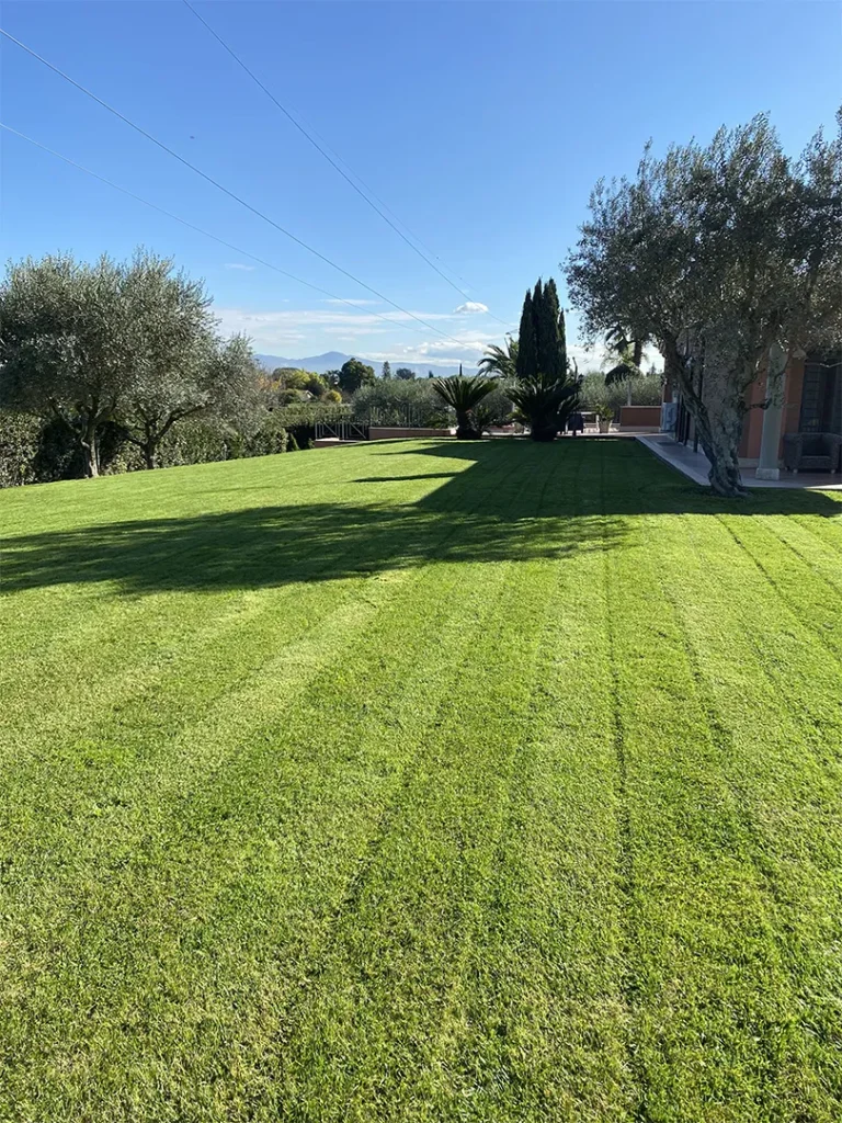 Manutenzione giardini privati e condominiali a Roma