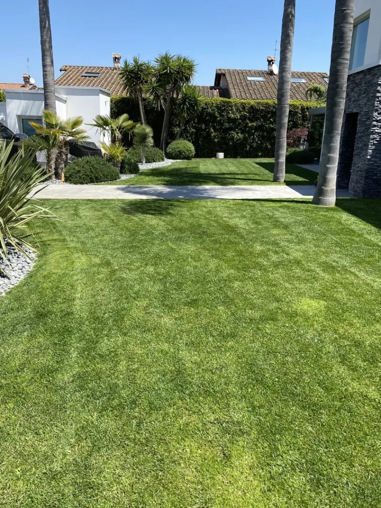 Progettazione e realizzazione giardini a Roma