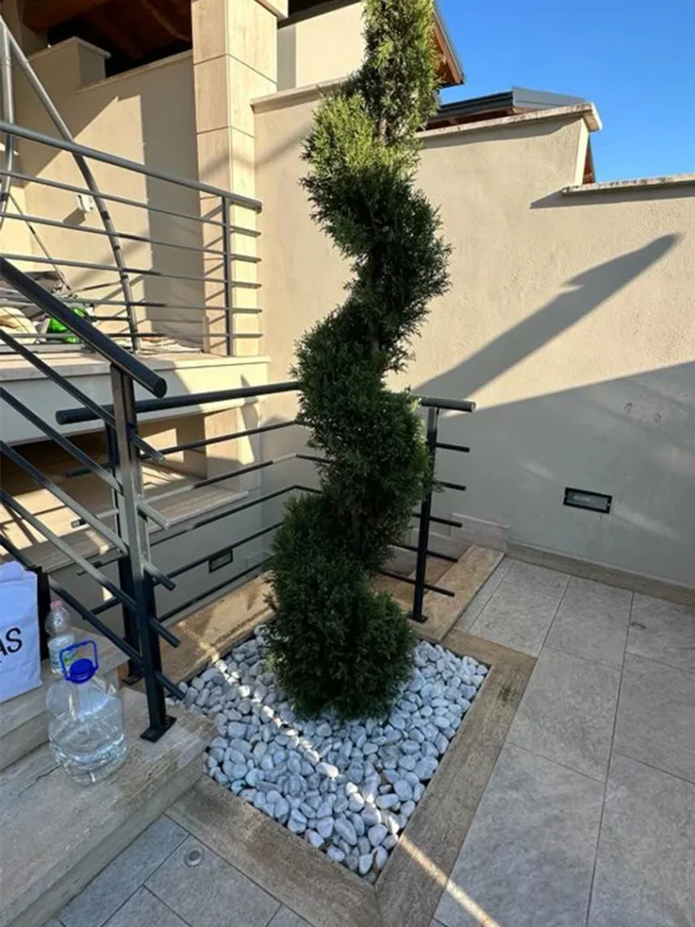 Progettazione e realizzazione giardini a Roma