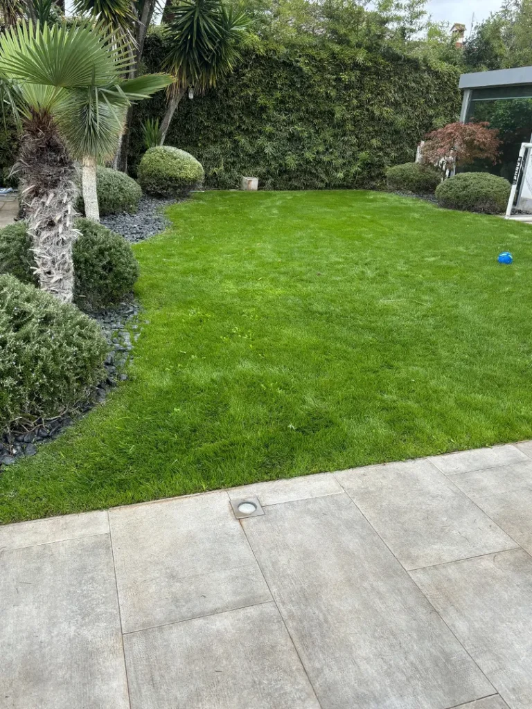 Manutenzione giardini privati e condominiali a Roma