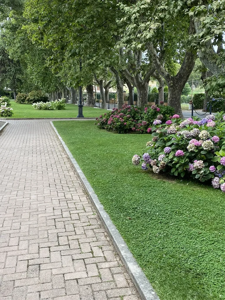 Manutenzione giardini privati e condominiali a Roma